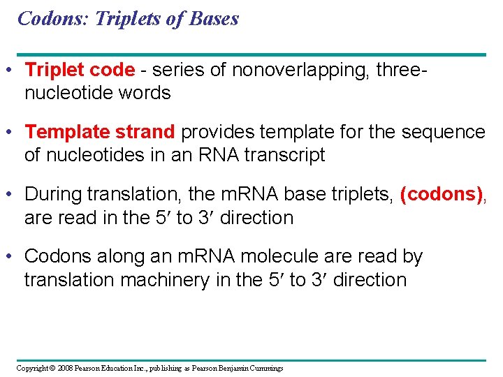 Codons: Triplets of Bases • Triplet code - series of nonoverlapping, threenucleotide words •