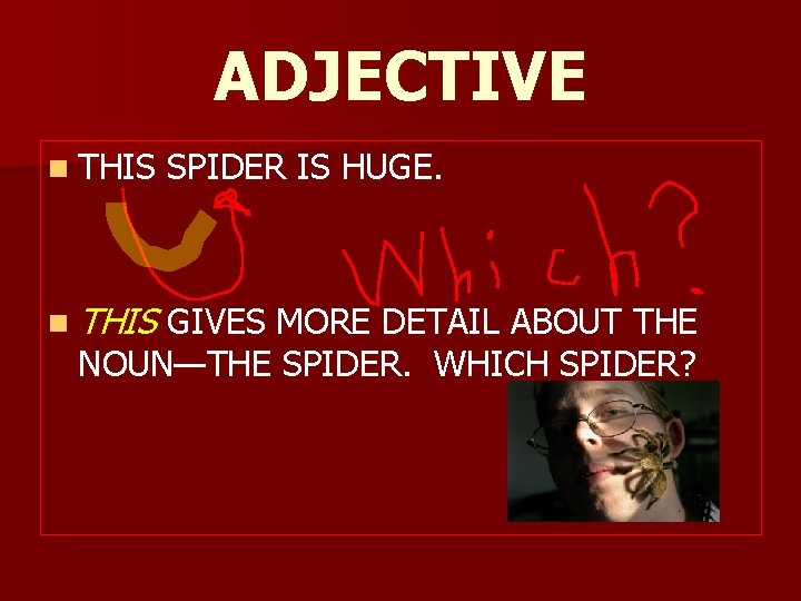 ADJECTIVE n THIS SPIDER IS HUGE. GIVES MORE DETAIL ABOUT THE NOUN—THE SPIDER. WHICH