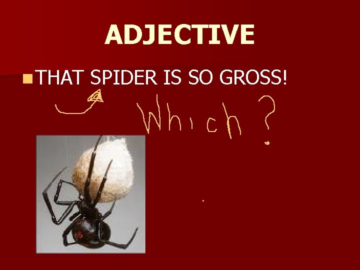 ADJECTIVE n THAT SPIDER IS SO GROSS! 