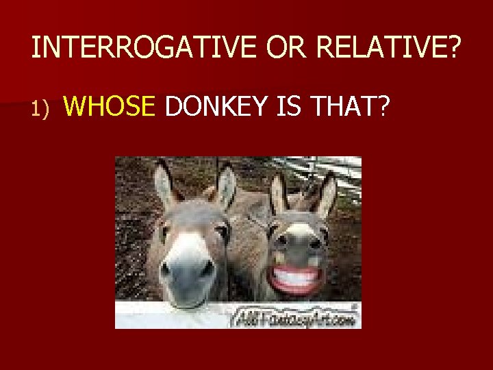 INTERROGATIVE OR RELATIVE? 1) WHOSE DONKEY IS THAT? 