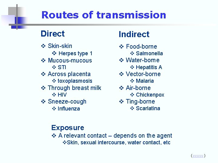 Routes of transmission Direct Indirect v Skin-skin v Herpes type 1 v Mucous-mucous v