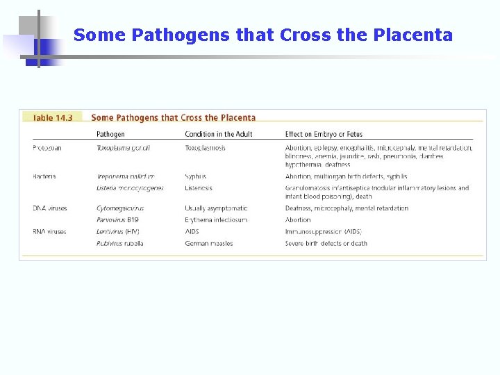 Some Pathogens that Cross the Placenta 