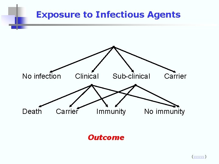 Exposure to Infectious Agents No infection Death Clinical Carrier Sub-clinical Immunity Carrier No immunity
