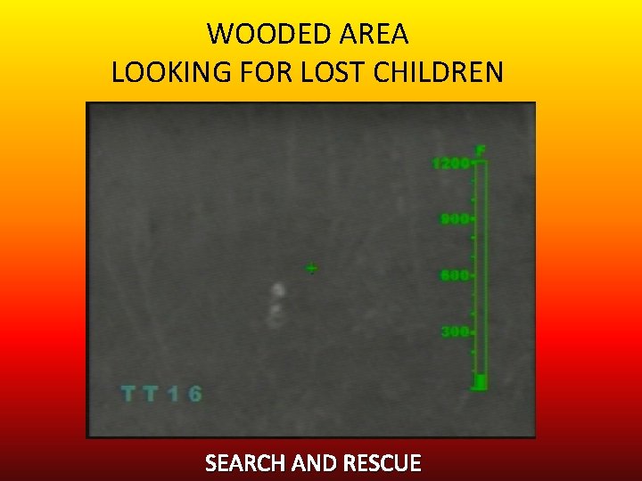 WOODED AREA LOOKING FOR LOST CHILDREN SEARCH AND RESCUE 