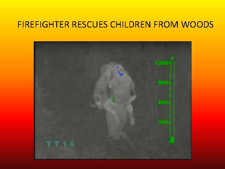 FIREFIGHTER RESCUES CHILDREN FROM WOODS 