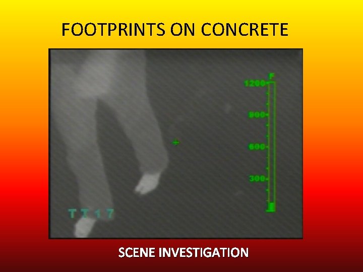FOOTPRINTS ON CONCRETE SCENE INVESTIGATION 