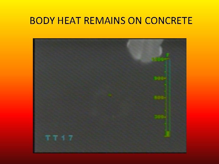 BODY HEAT REMAINS ON CONCRETE 