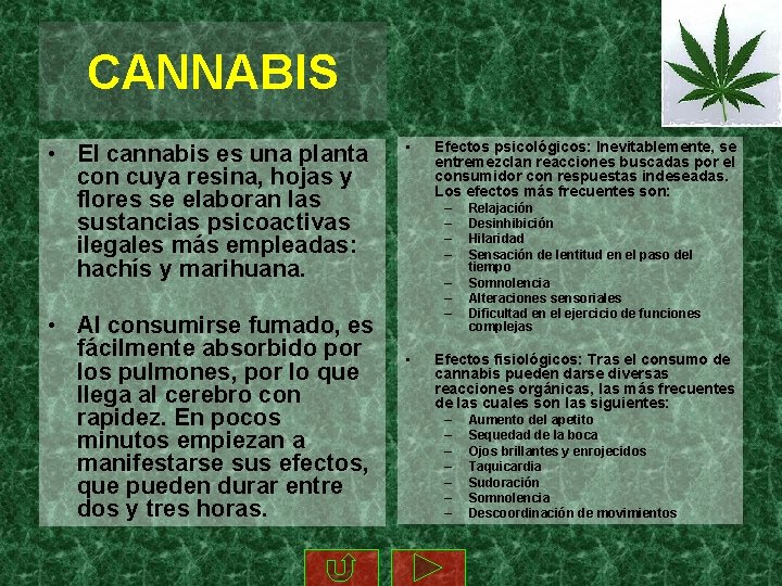 CANNABIS • El cannabis es una planta con cuya resina, hojas y flores se