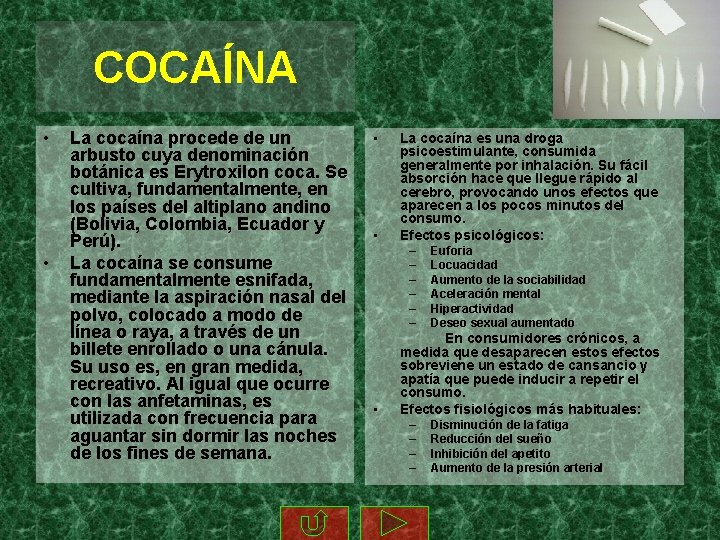 COCAÍNA • • La cocaína procede de un arbusto cuya denominación botánica es Erytroxilon