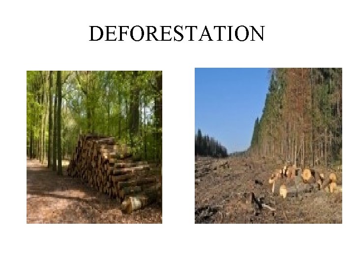 DEFORESTATION 