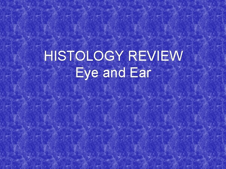 HISTOLOGY REVIEW Eye and Ear 