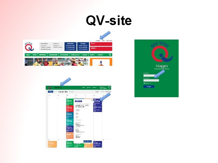 QV-site 