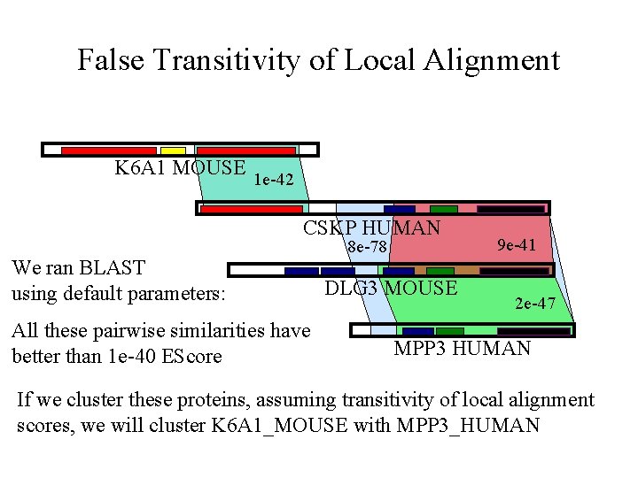 False Transitivity of Local Alignment K 6 A 1 MOUSE 1 e-42 CSKP HUMAN