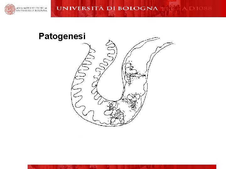 Patogenesi. I 