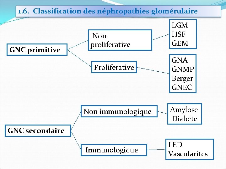 1. 6. Classification des néphropathies glomérulaire GNC primitive Non proliferative Proliferative LGM HSF GEM