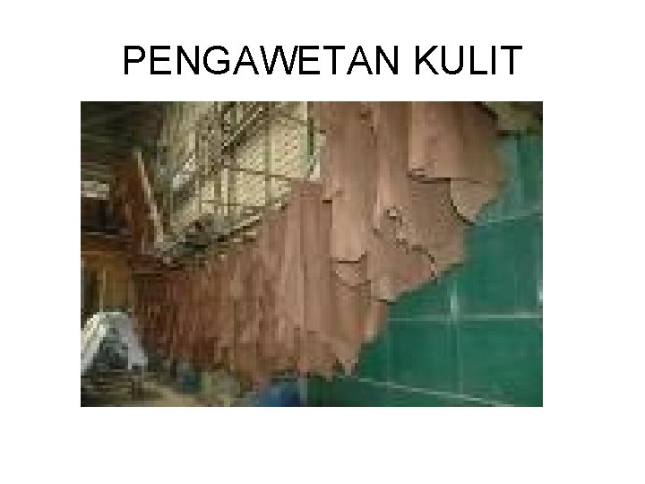 PENGAWETAN KULIT 