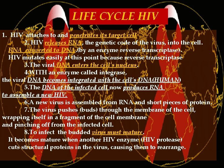 LIFE CYCLE HIV 1. HIV attaches to and penetrates its target cell 2. HIV