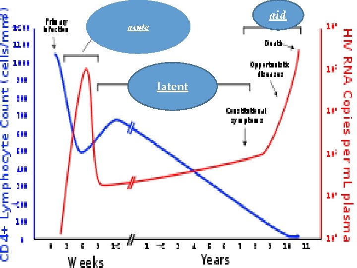 aid acute latent 