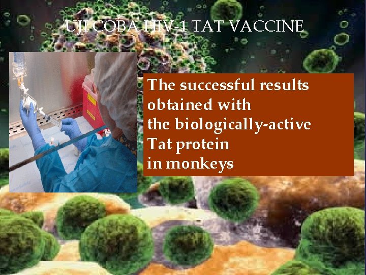 UJI COBA HIV-1 TAT VACCINE The successful results obtained with the biologically-active Tat protein