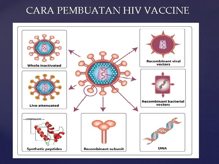CARA PEMBUATAN HIV VACCINE 