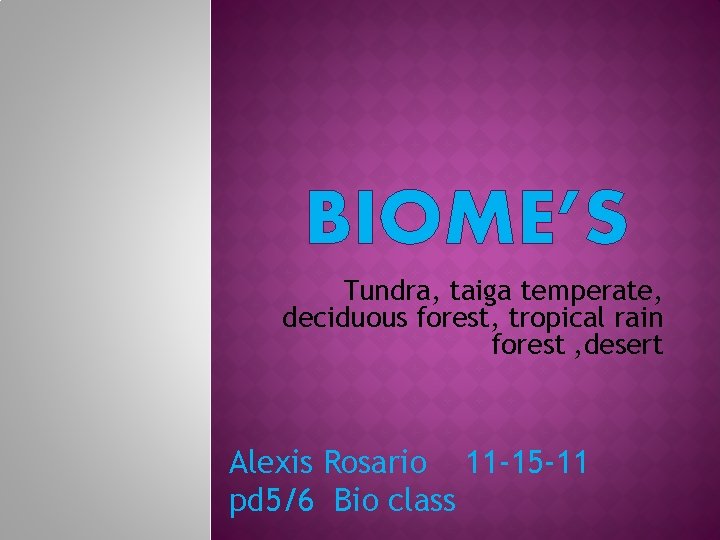 BIOME’S Tundra, taiga temperate, deciduous forest, tropical rain forest , desert Alexis Rosario 11