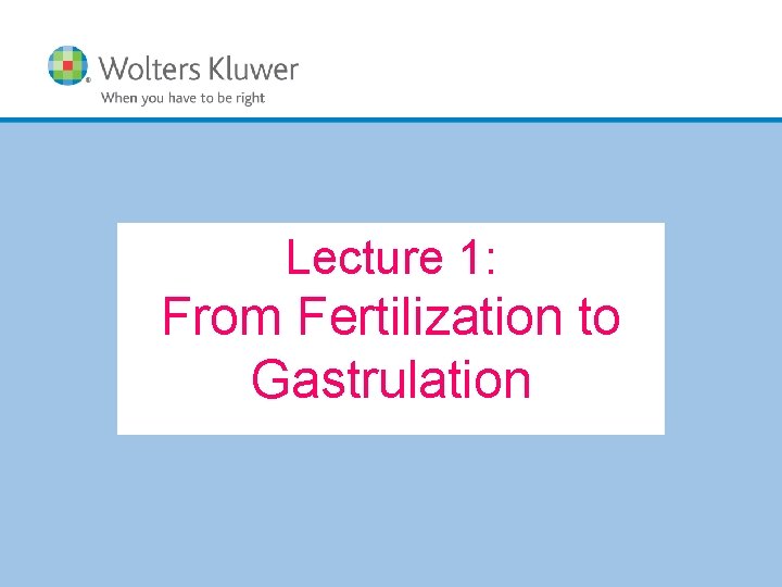 Lecture 1: From Fertilization to Gastrulation Copyright © 2019 Wolters Kluwer • All Rights Lecture 1: From Fertilization to Gastrulation Copyright © 2019 Wolters Kluwer • All Rights
