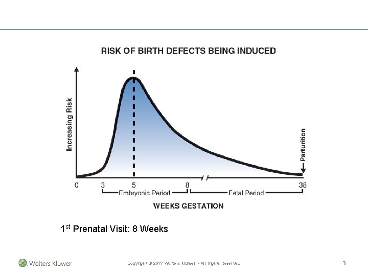 1 st Prenatal Visit: 8 Weeks Copyright © 2019 Wolters Kluwer • All Rights 1 st Prenatal Visit: 8 Weeks Copyright © 2019 Wolters Kluwer • All Rights