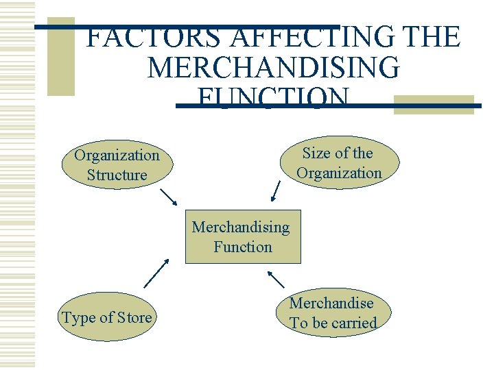 FACTORS AFFECTING THE MERCHANDISING FUNCTION Size of the Organization Structure Merchandising Function Type of