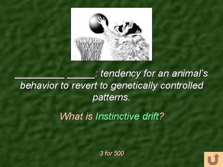 _____: tendency for an animal’s behavior to revert to genetically controlled patterns. What is