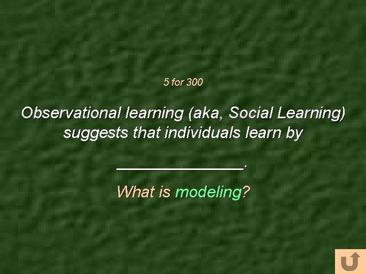 5 for 300 Observational learning (aka, Social Learning) suggests that individuals learn by _______.