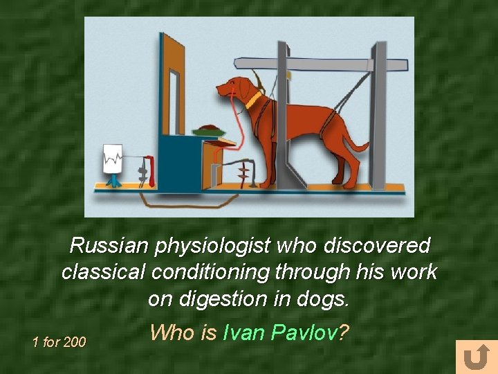 Russian physiologist who discovered classical conditioning through his work on digestion in dogs. Who