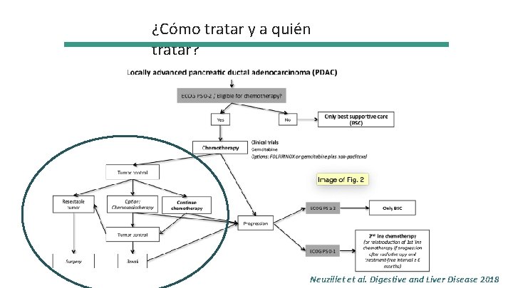 ¿Cómo tratar y a quién tratar? Neuzillet et al. Digestive and Liver Disease 2018