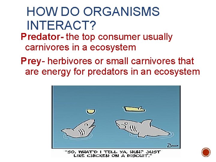 HOW DO ORGANISMS INTERACT? Predator- the top consumer usually carnivores in a ecosystem Prey-