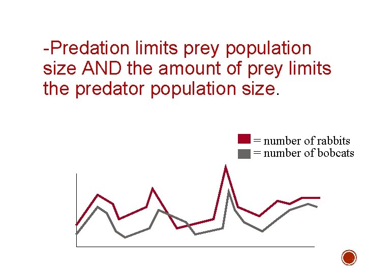 -Predation limits prey population size AND the amount of prey limits the predator population