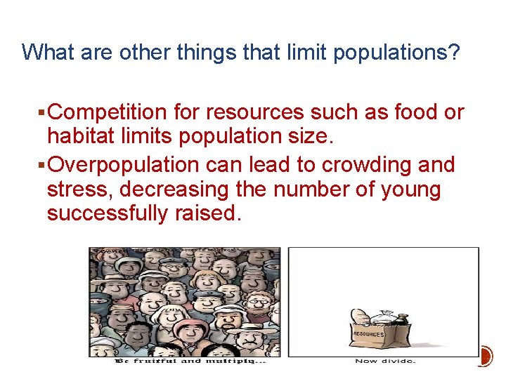 What are other things that limit populations? § Competition for resources such as food