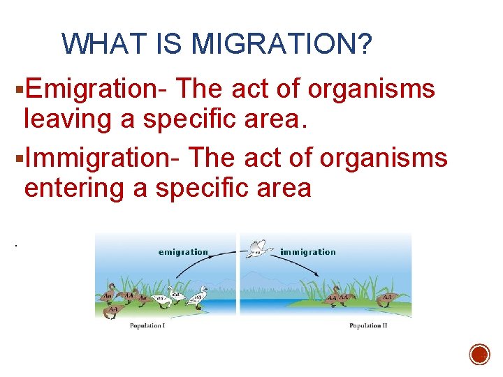 WHAT IS MIGRATION? §Emigration- The act of organisms leaving a specific area. §Immigration- The