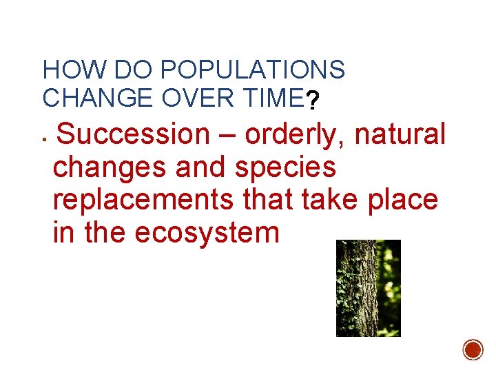 HOW DO POPULATIONS CHANGE OVER TIME § Succession – orderly, natural changes and species