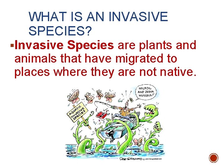 WHAT IS AN INVASIVE SPECIES? §Invasive Species are plants and animals that have migrated