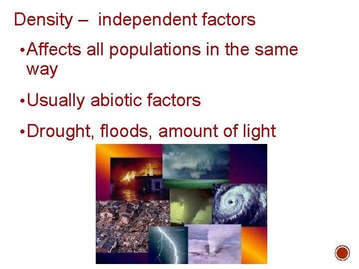 Density – independent factors • Affects all populations in the same way • Usually