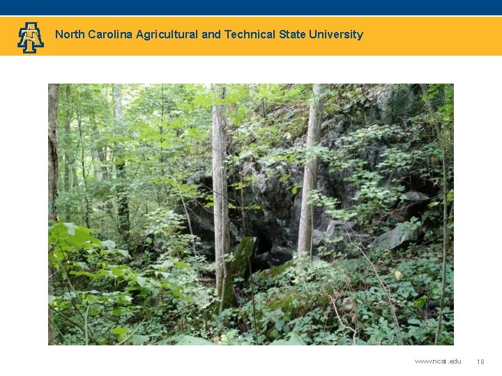 North Carolina Agricultural and Technical State University www. ncat. edu 18 