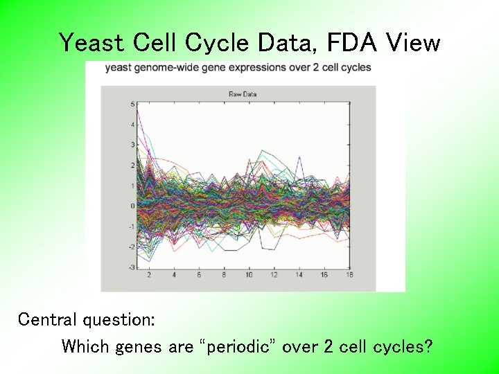 Yeast Cell Cycle Data, FDA View Central question: Which genes are “periodic” over 2