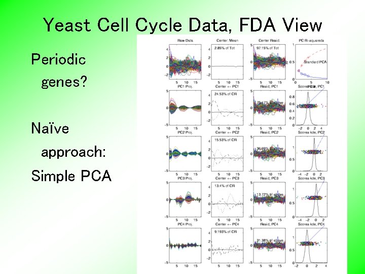 Yeast Cell Cycle Data, FDA View Periodic genes? Naïve approach: Simple PCA 