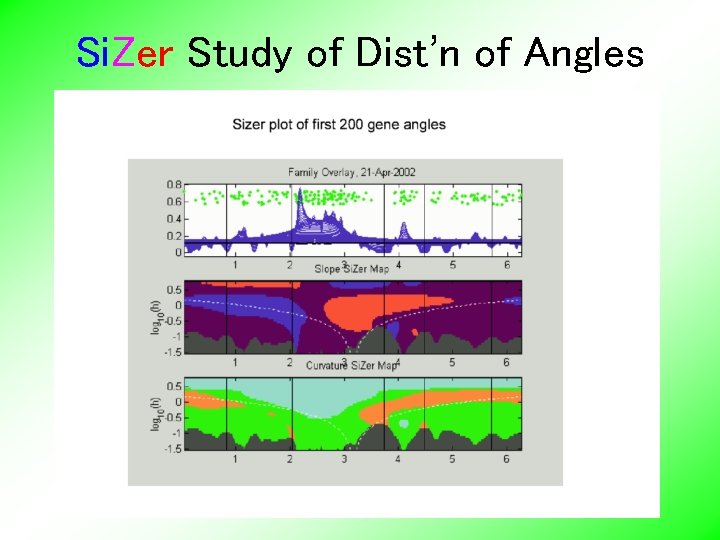 Si. Zer Study of Dist’n of Angles 