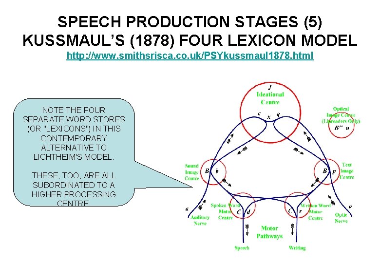 SPEECH PRODUCTION STAGES (5) KUSSMAUL’S (1878) FOUR LEXICON MODEL http: //www. smithsrisca. co. uk/PSYkussmaul