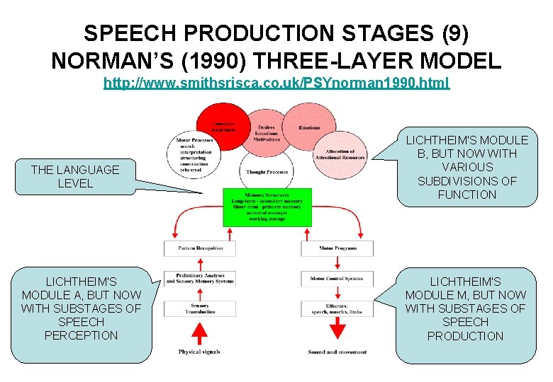 SPEECH PRODUCTION STAGES (9) NORMAN’S (1990) THREE-LAYER MODEL http: //www. smithsrisca. co. uk/PSYnorman 1990.