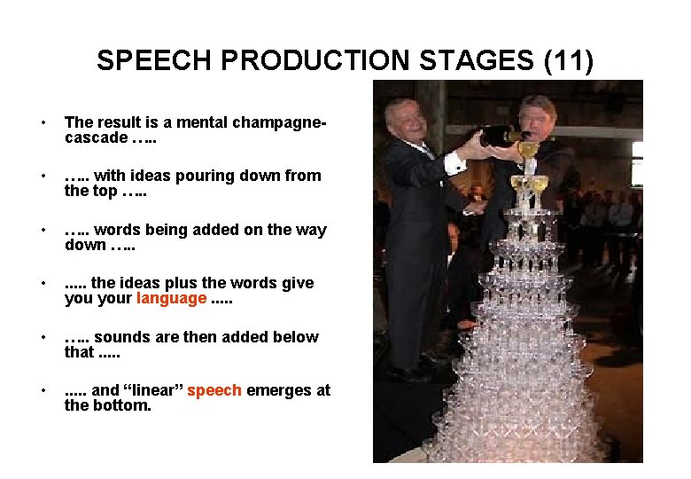 SPEECH PRODUCTION STAGES (11) • The result is a mental champagnecascade …. . •