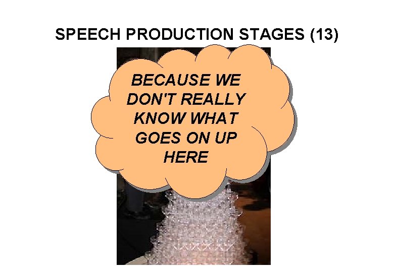 SPEECH PRODUCTION STAGES (13) BECAUSE WE DON'T REALLY KNOW WHAT GOES ON UP HERE