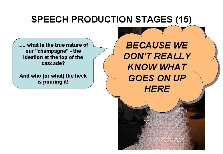 SPEECH PRODUCTION STAGES (15). . . what is the true nature of our "champagne"
