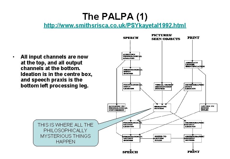 The PALPA (1) http: //www. smithsrisca. co. uk/PSYkayetal 1992. html • All input channels