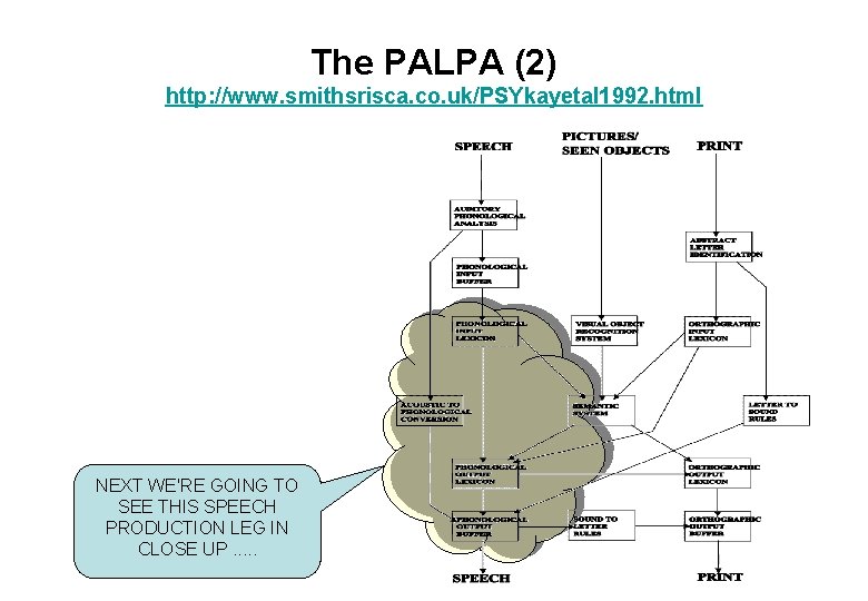 The PALPA (2) http: //www. smithsrisca. co. uk/PSYkayetal 1992. html NEXT WE'RE GOING TO